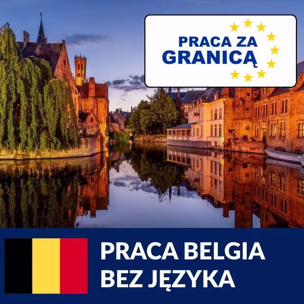 Praca w belgii